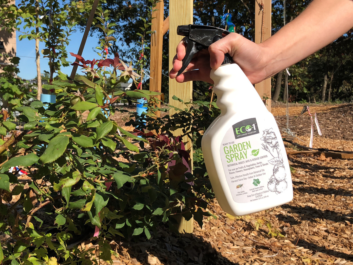 eco1 garden spray