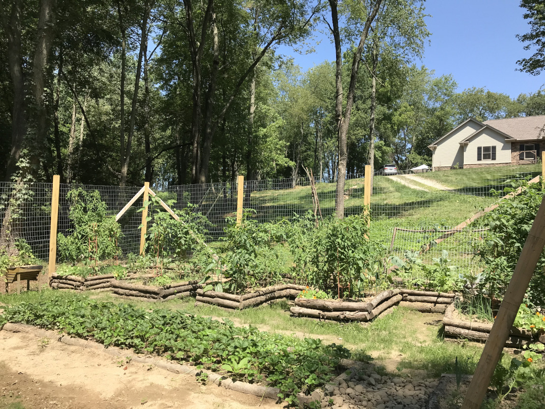 new vegetable garden