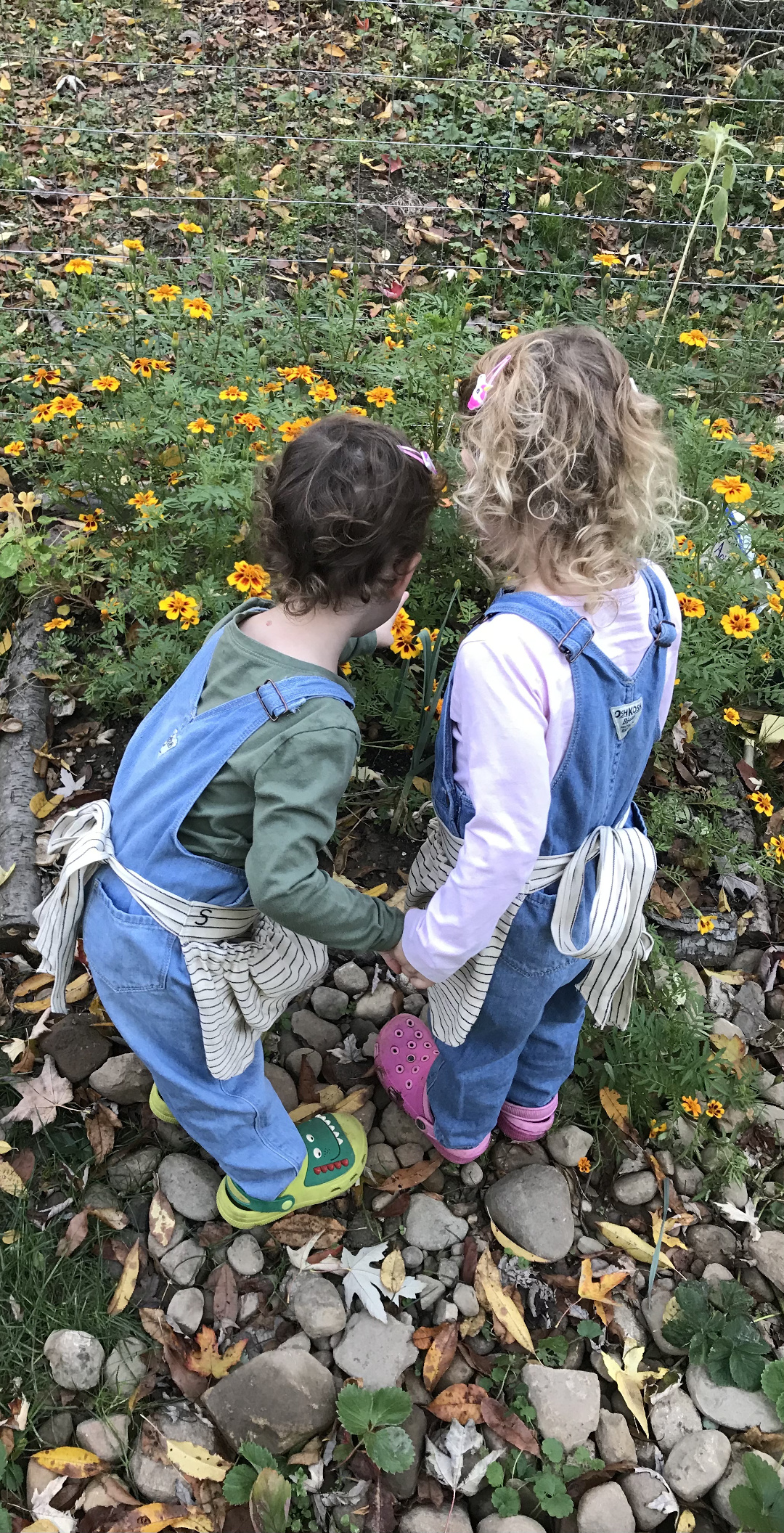 kids in the garden