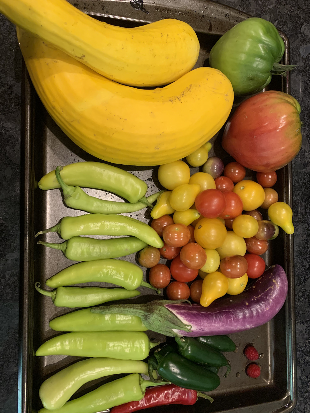 vegetable harvest