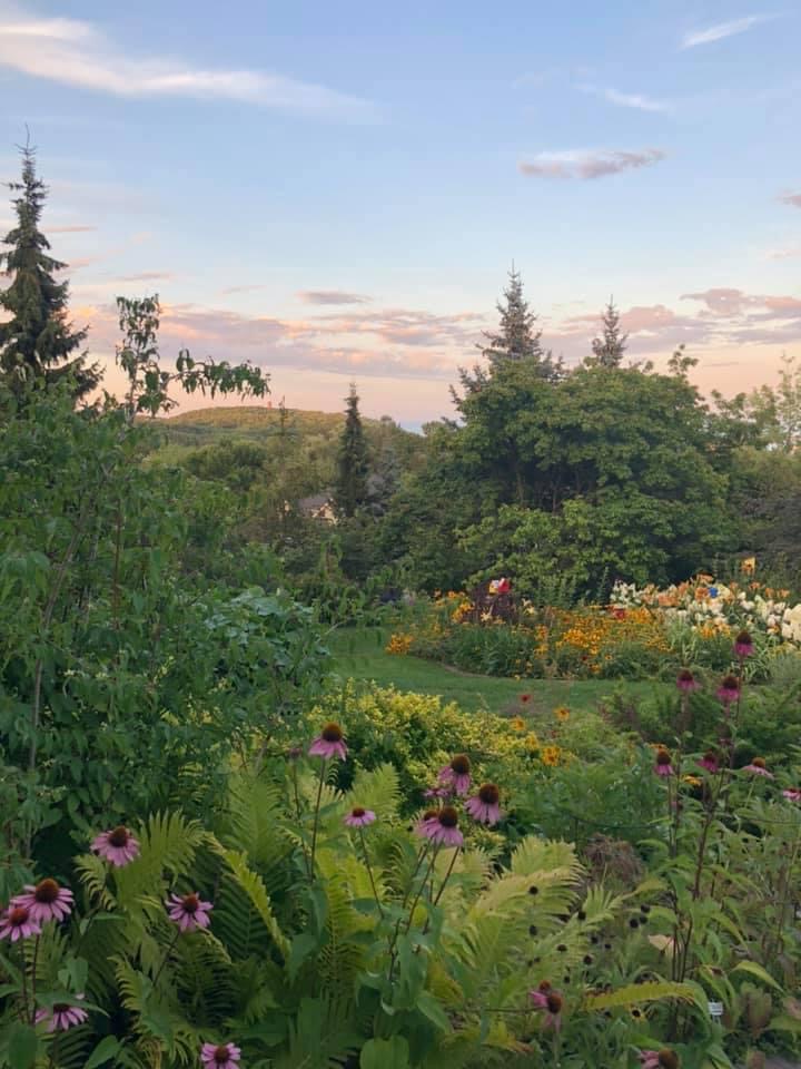 wide view of the garden