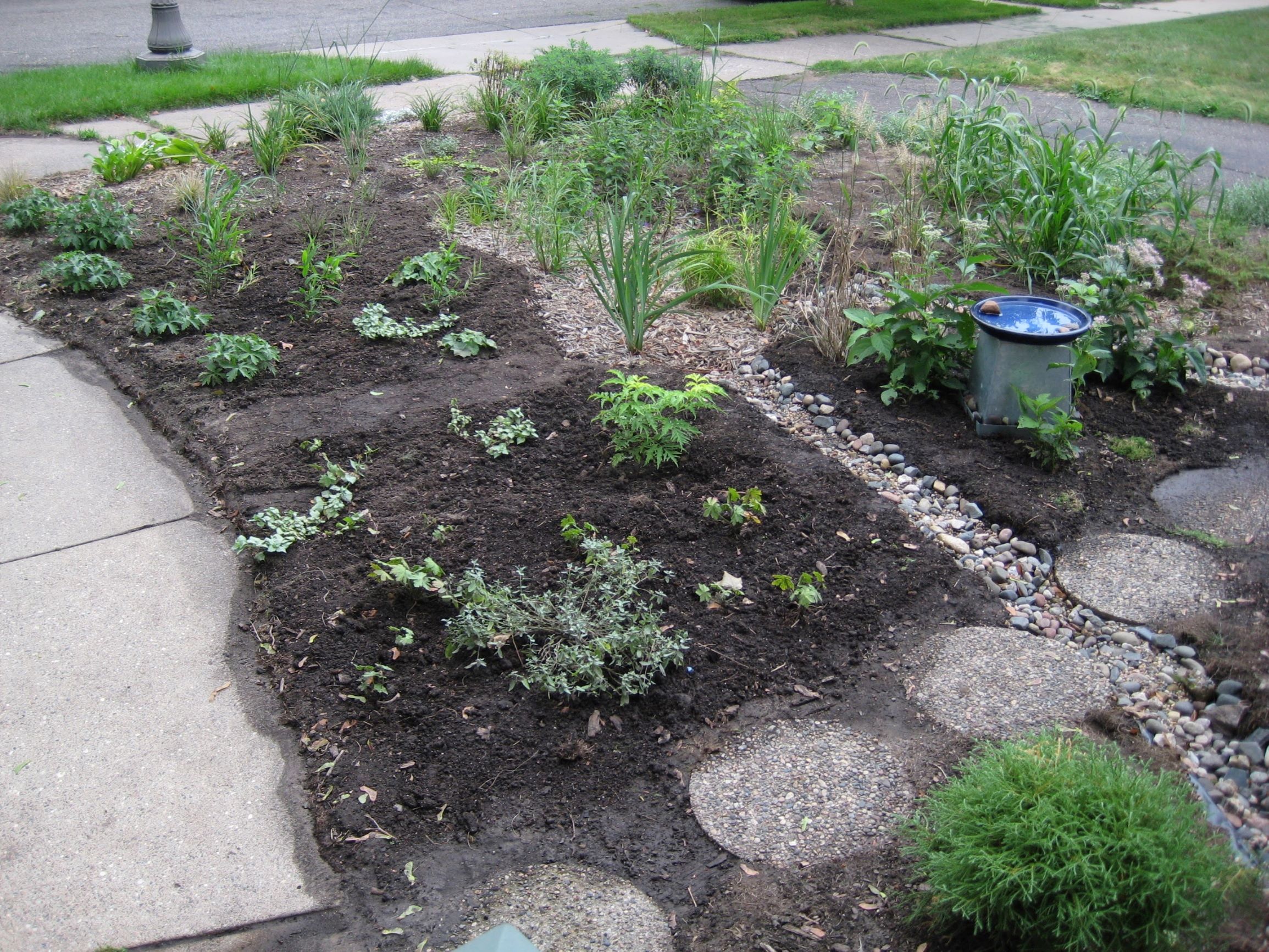 newly-planted garden