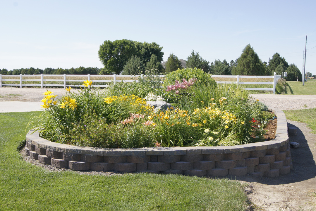 raised garden bed