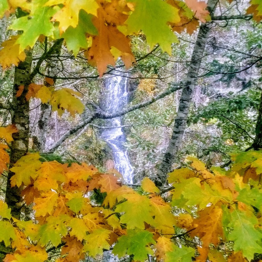 Ladder Creek Falls Trail