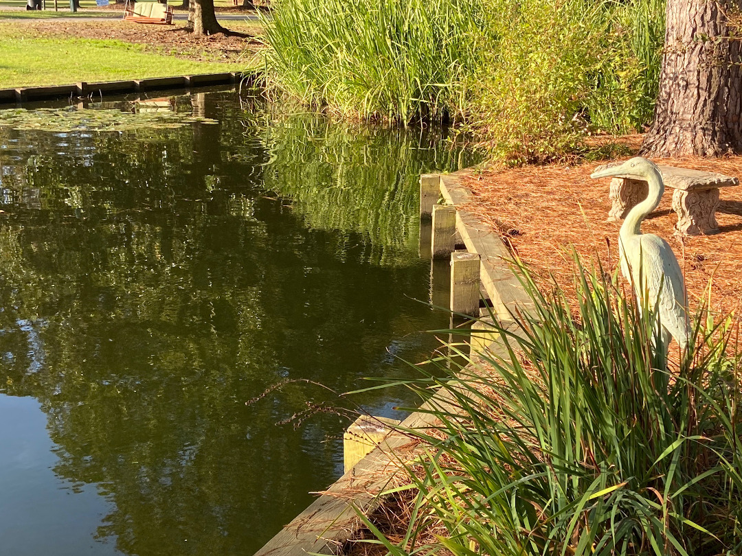 water garden