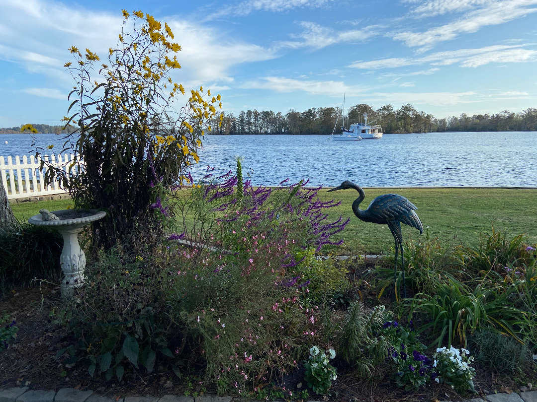 garden by water