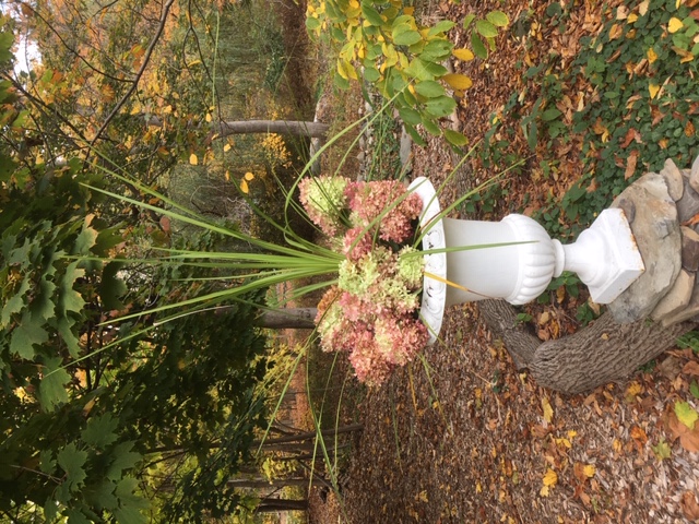 urn with hydrangea