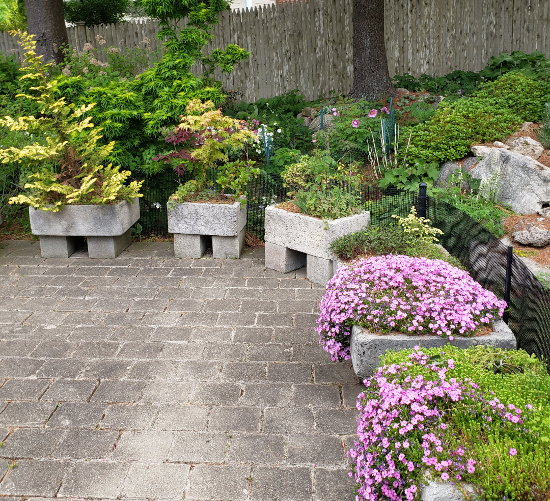 small perennials and shrubs