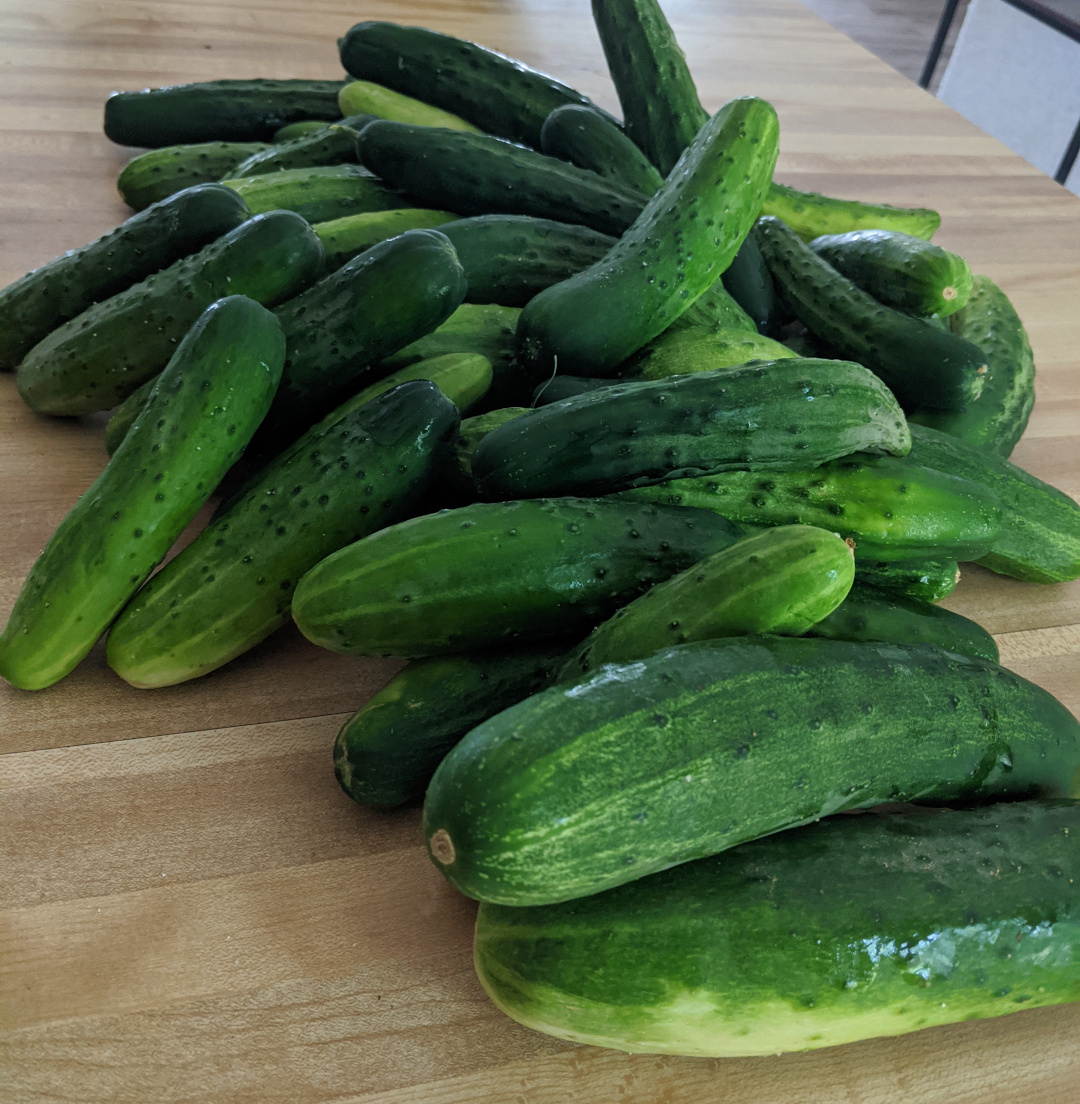 cucumbers