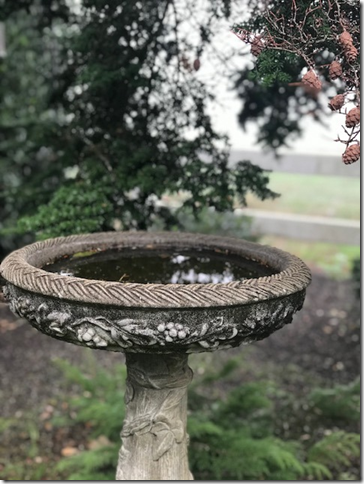 bird bath