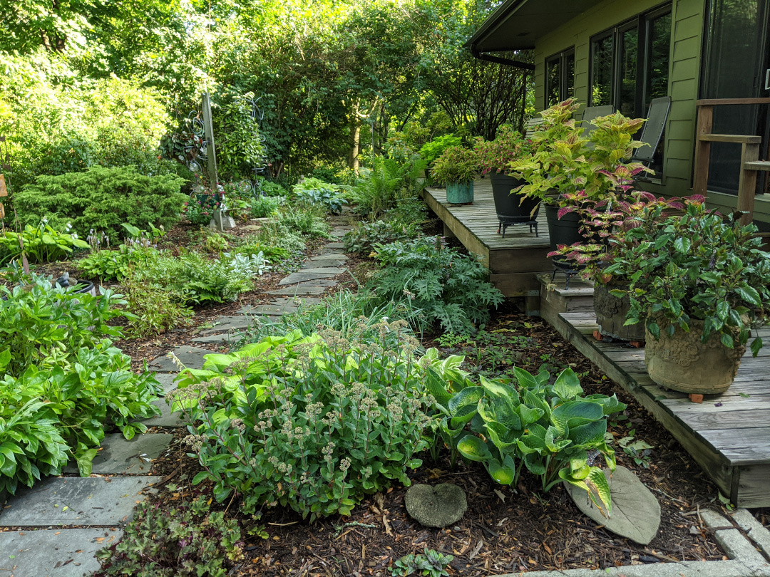 mulched garden