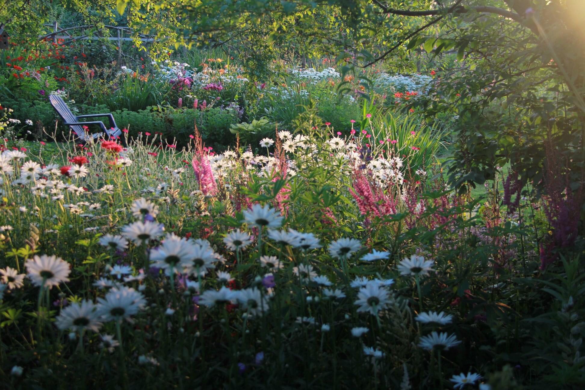 place to sit in the garden