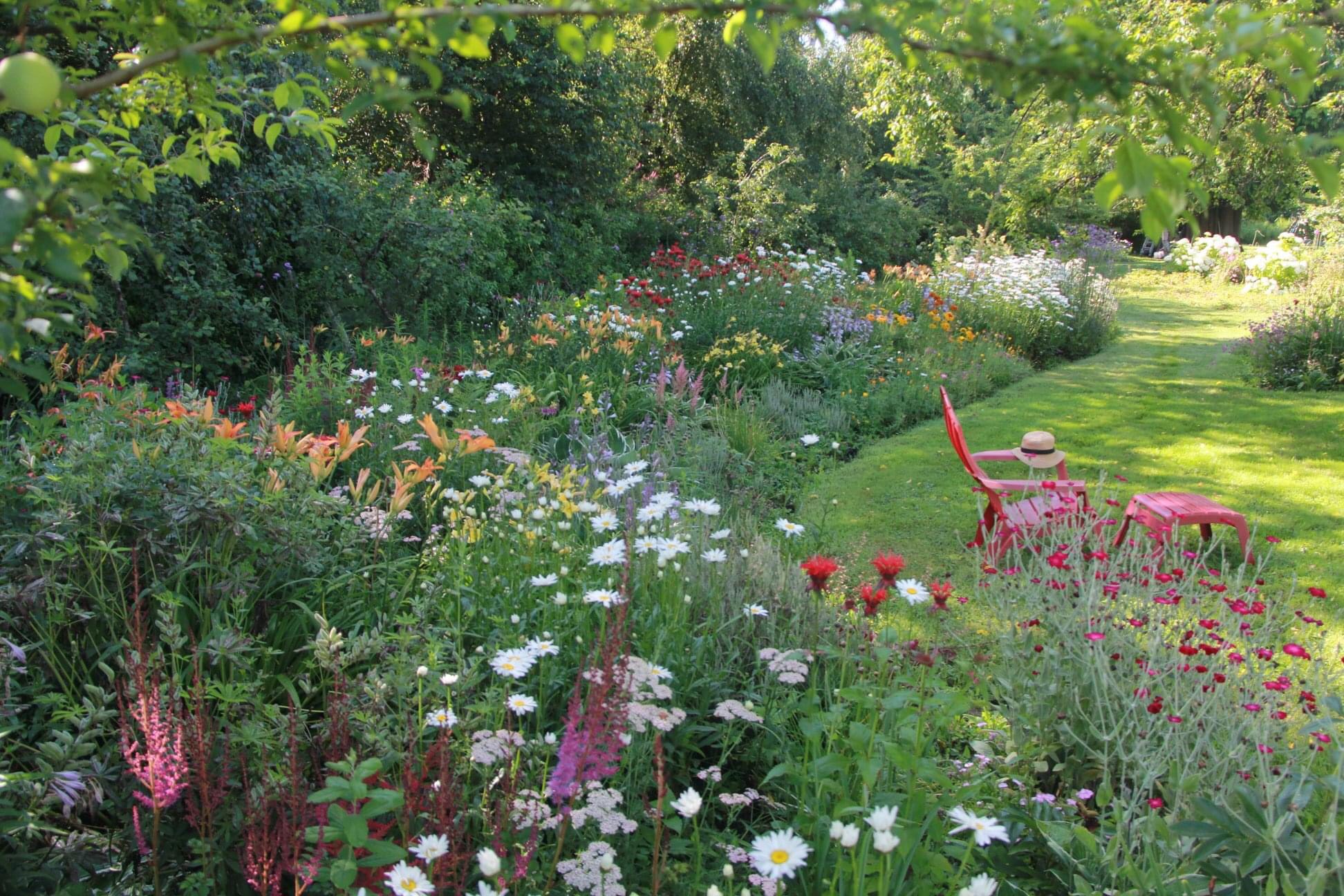 thickly planted garden bed