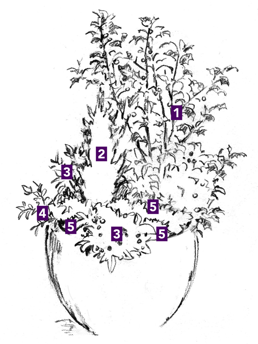 winter container with reindeer moss plant ids