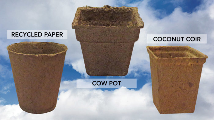 biodegradable pots