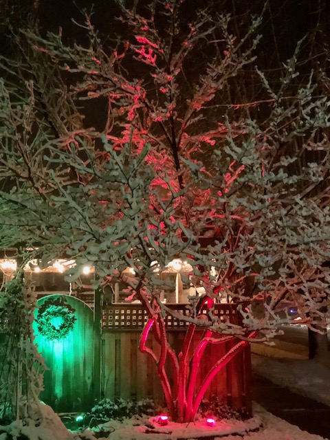 christmas lights in snow