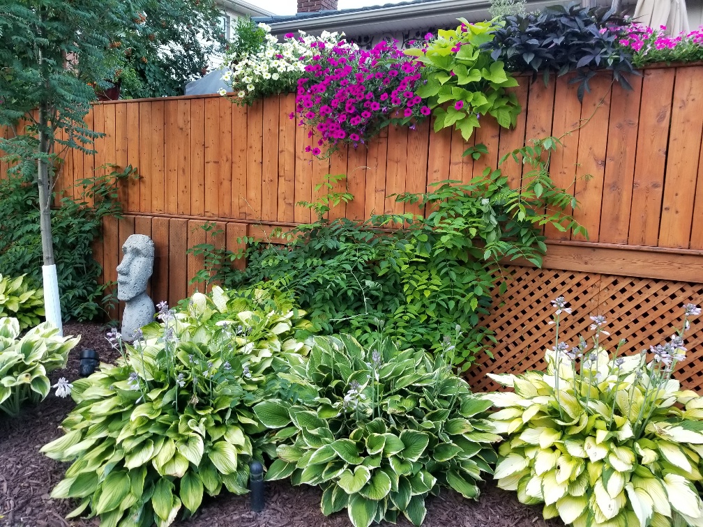 flower-topped deck