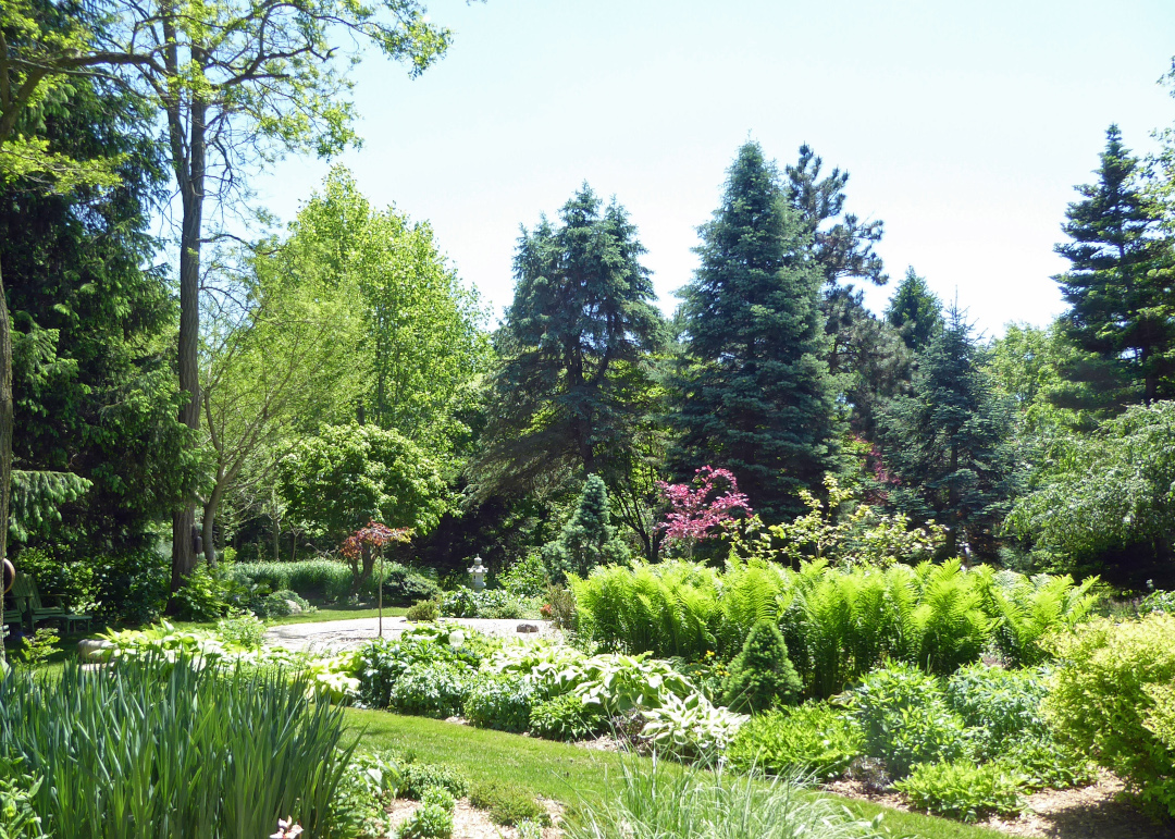 midwest summer garden