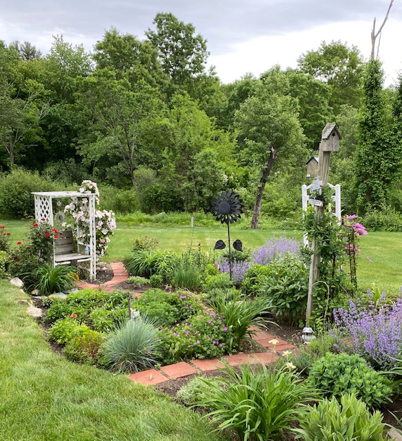 perennial garden