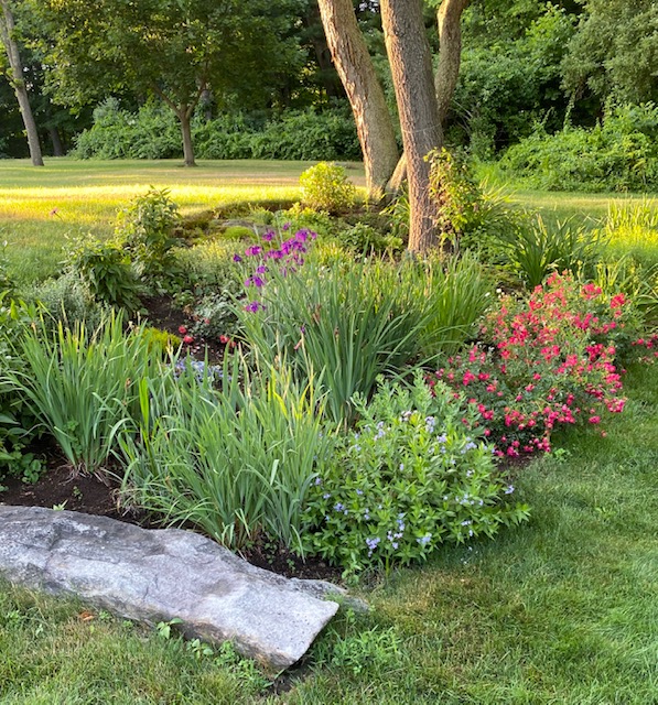 perennial garden bed