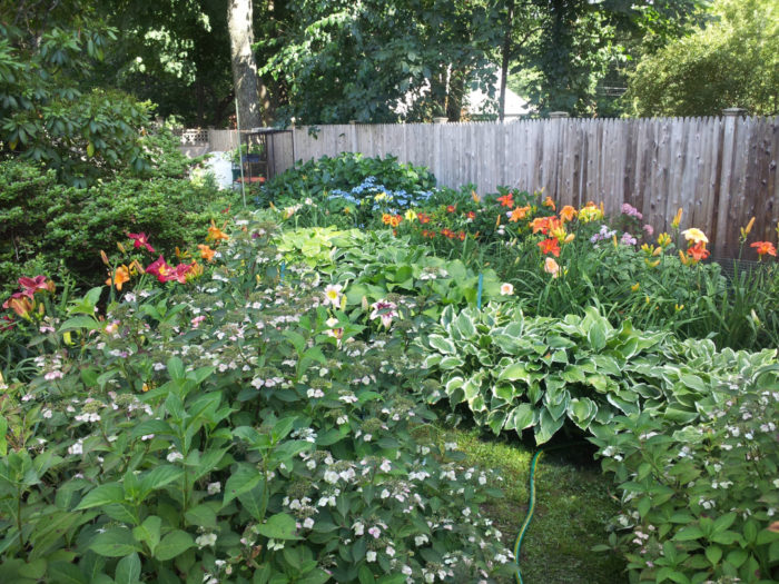 Elle’s Connecticut Garden - Fine Gardening