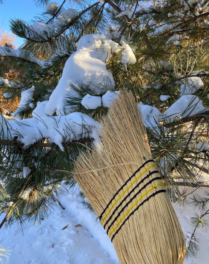 knocking snow off branches