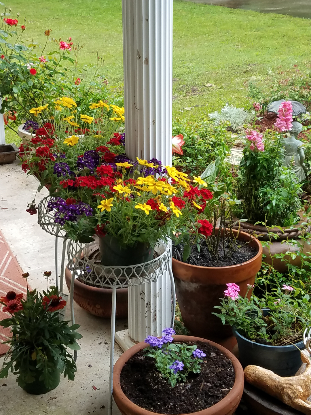 pots of colorful annuals