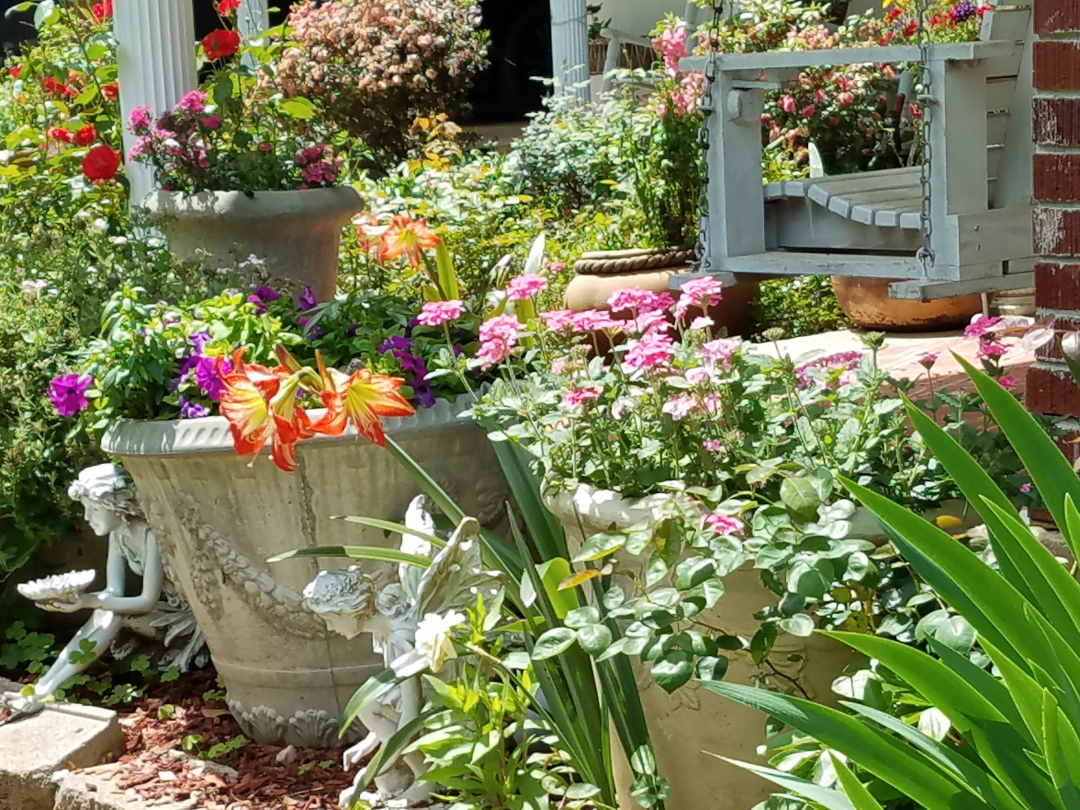 plants in summer bloom