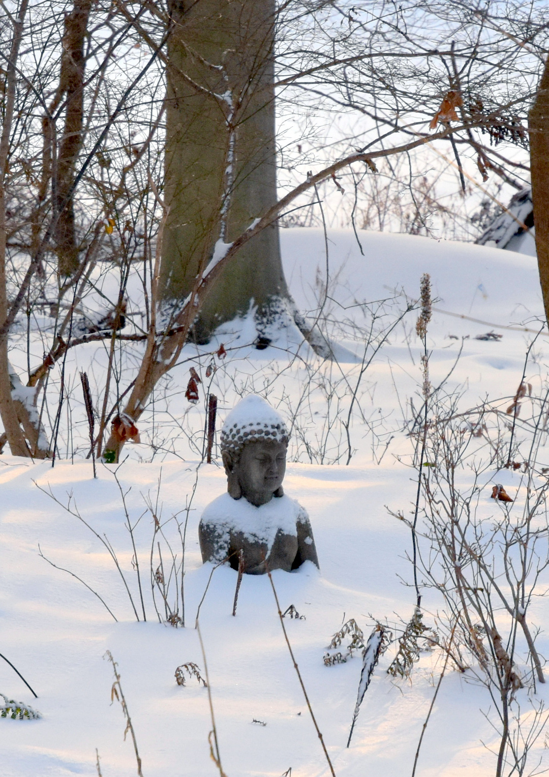 Buddha statue in snow