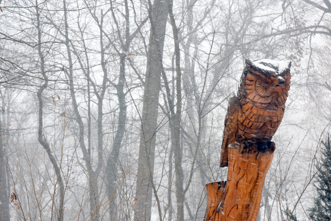 owl wood carving