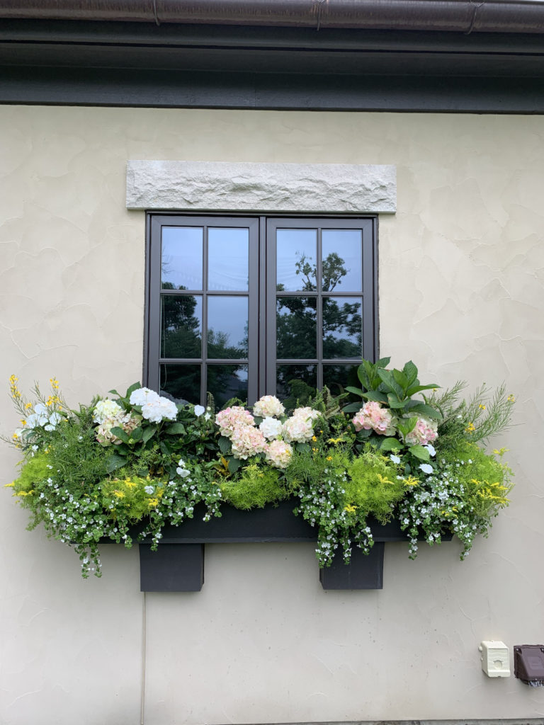 One Window Box, Four Seasons - Fine Gardening