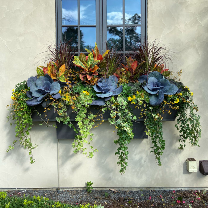 One Window Box, Four Seasons