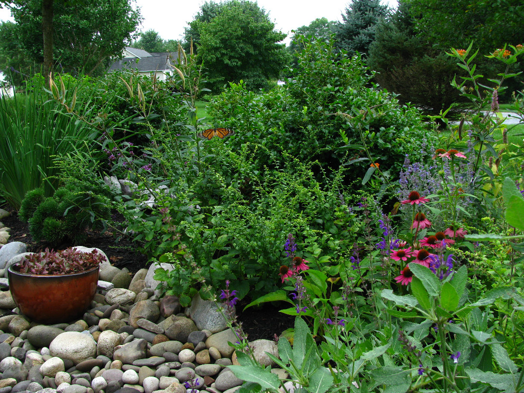 River stones in the garden