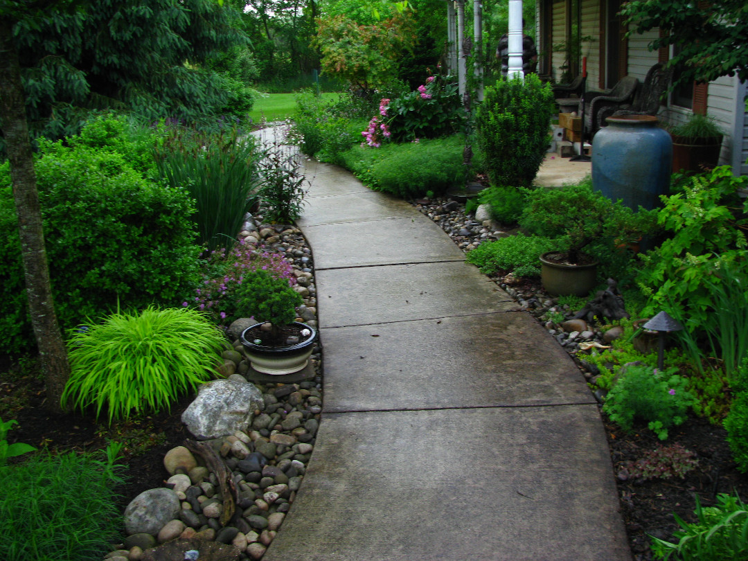 garden on a rainy day