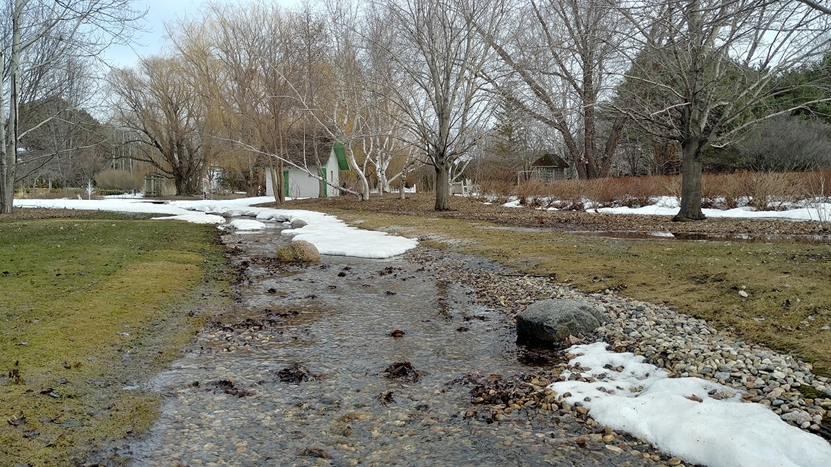 Keeping Winter Salt from Destroying Landscaping - USA Gypsum