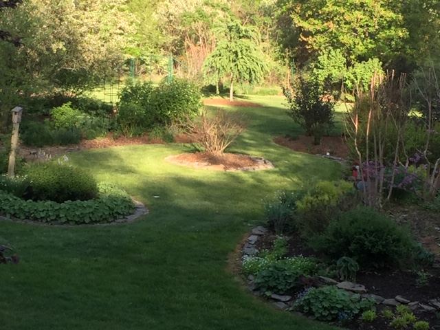 wide view of garden