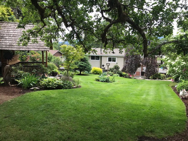 Wide view of the garden