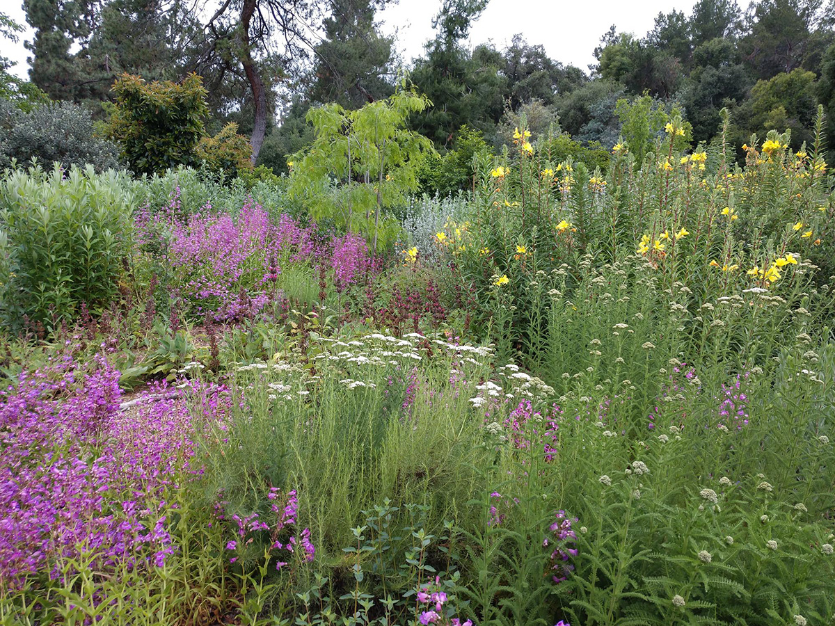 diverse planting