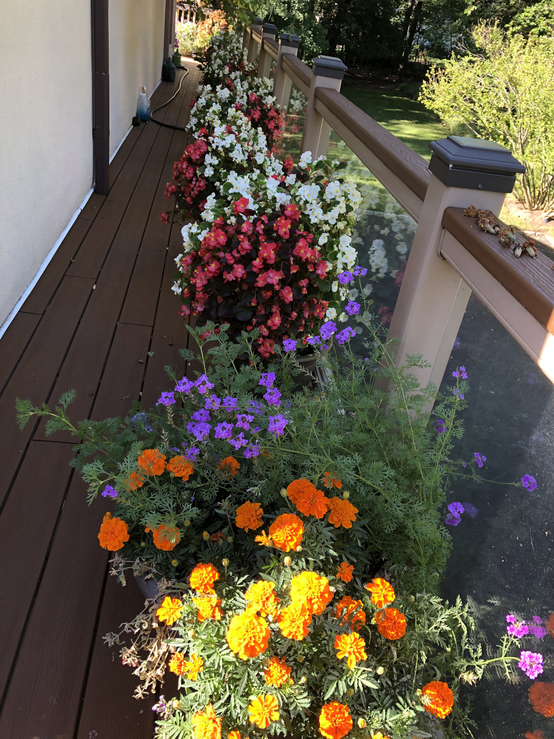 Pots of colorful flowers on a deck