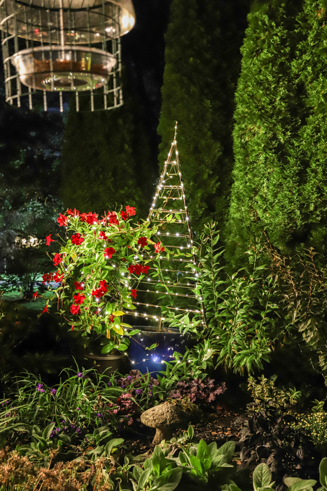 Small white lights in a garden