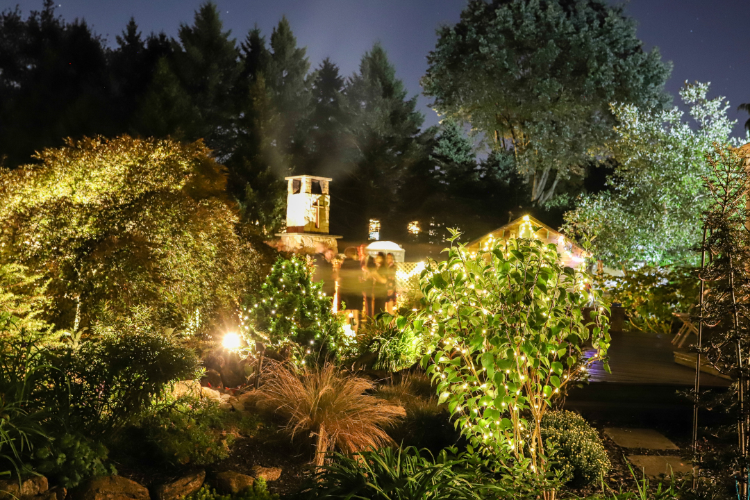 A few people mingle in a well-lit garden at night