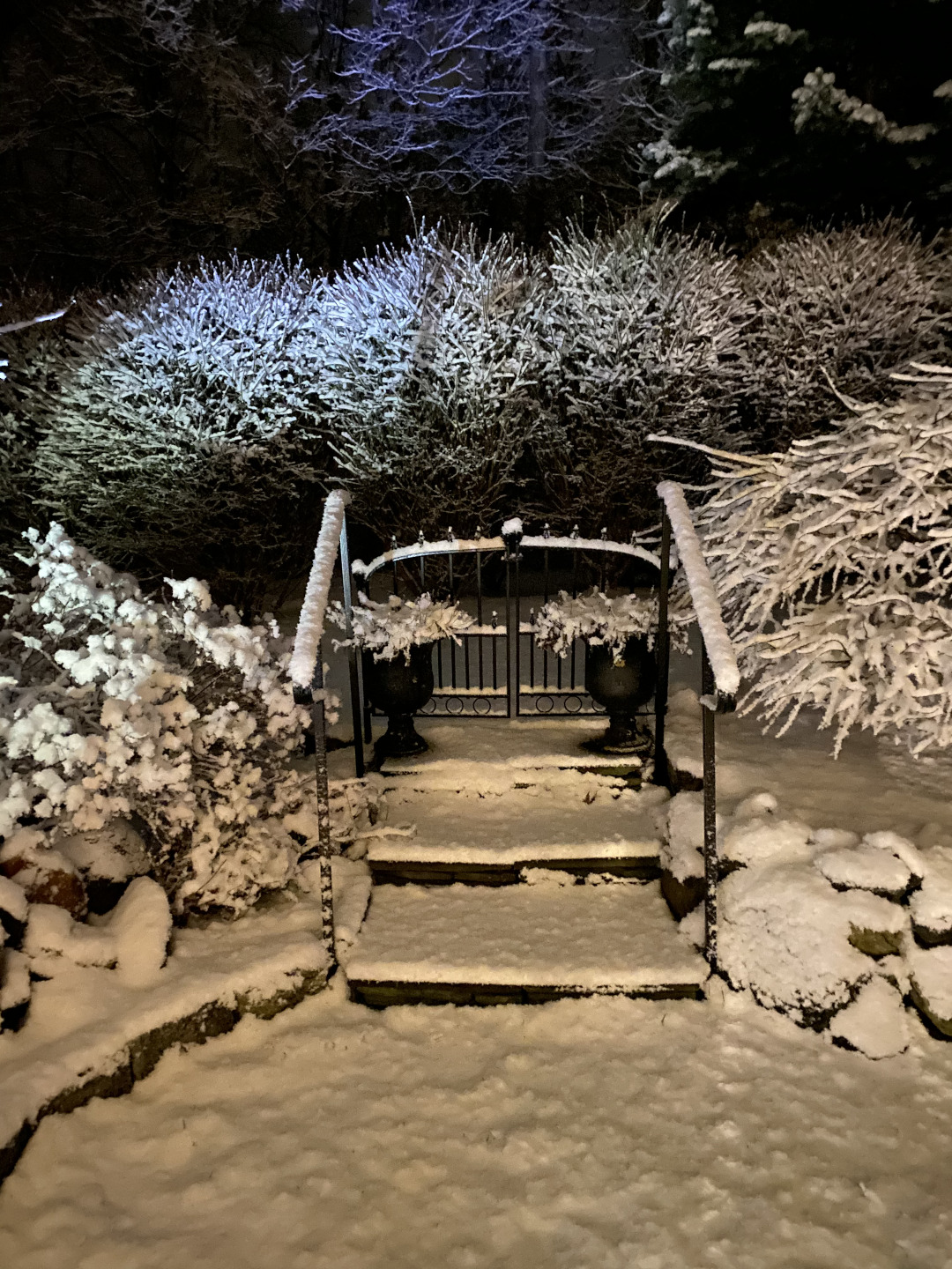 Garden with shrubs and steps covered with snow