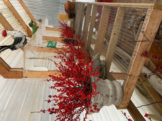 Berry-covered branches sitting on a greenhouse bench