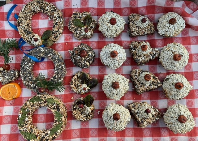 ornaments made out of birdseed