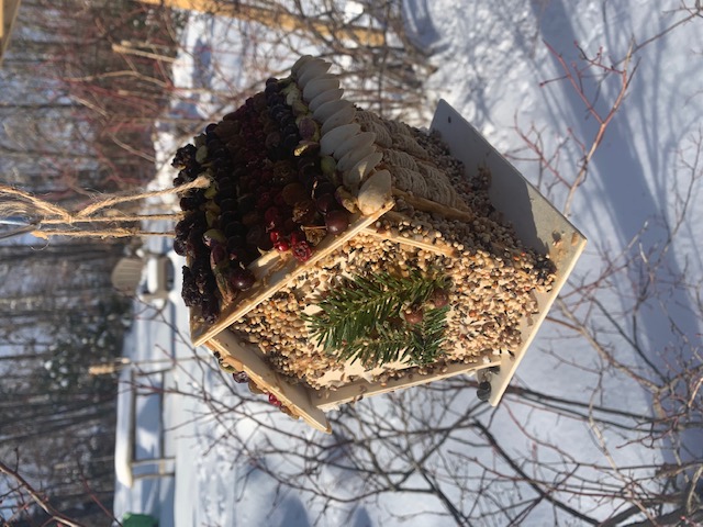 A birdhouse covered with birdseed