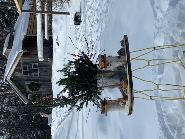 A table set in the snow with various treats for birds set on it