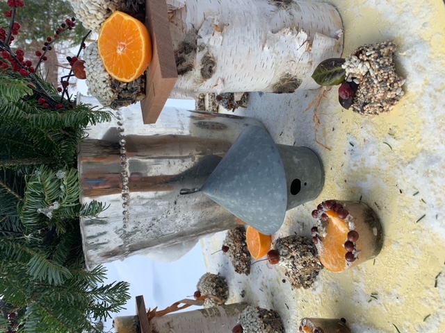 Closer view of a table set in the snow with various treats for birds set on it