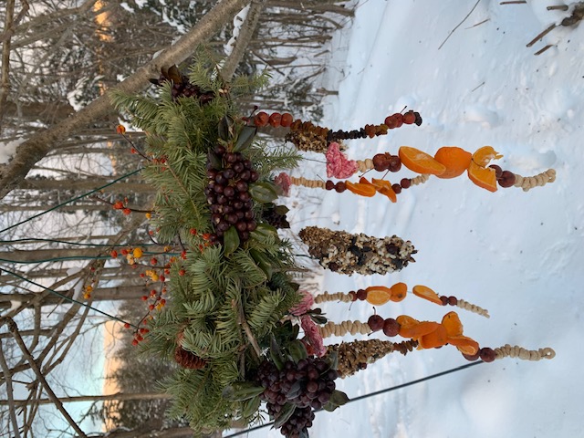 Seeds, fruits, and other bird food hanging from the branches of a tree