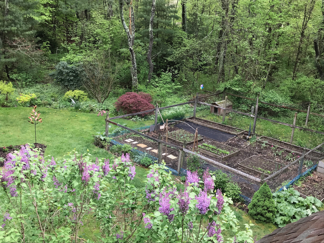 vegetable garden