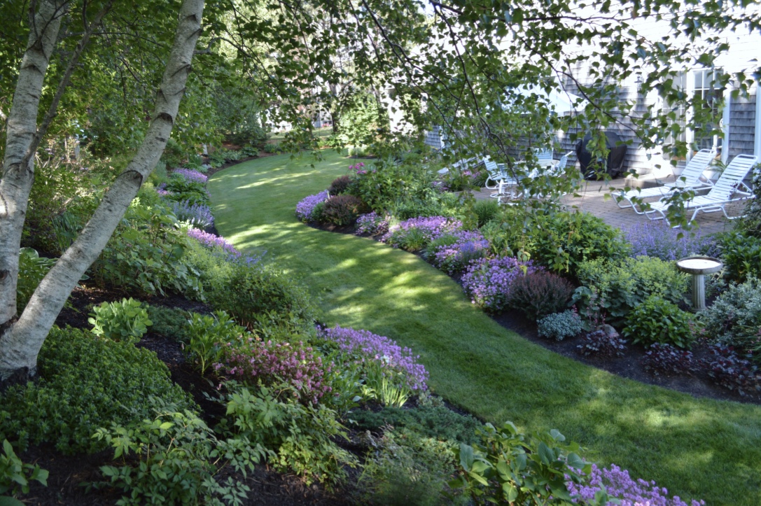 looking down at a grassy path between flower gardens